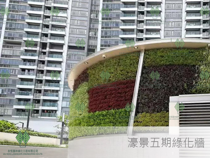 濠景五期綠化牆